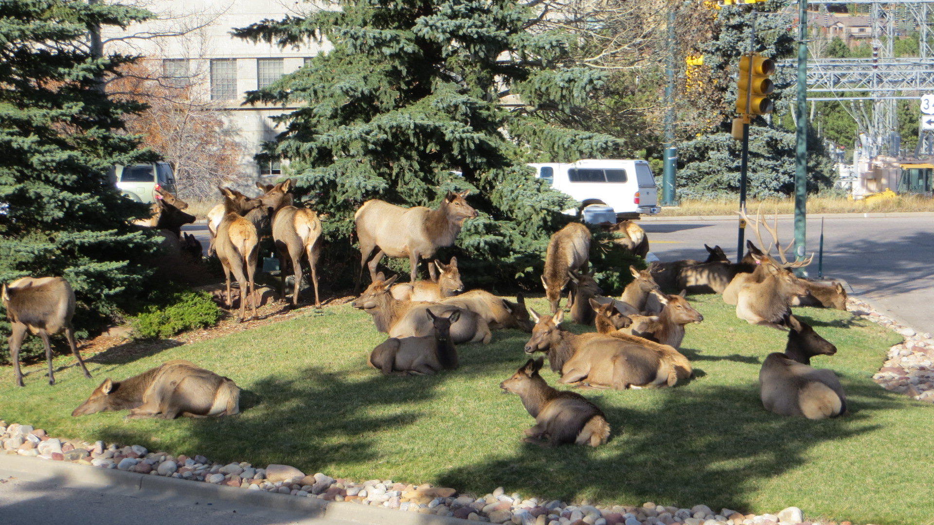 Daily Pictures. Part 2 (62 pics)