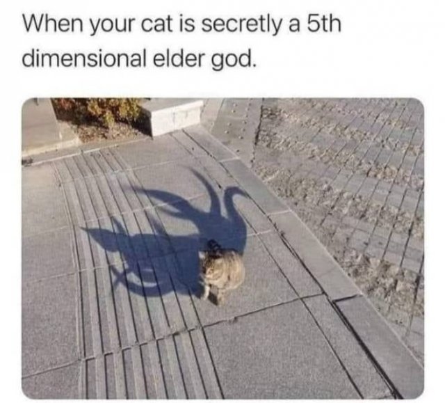 Daily Pictures. Part 2 (62 pics)