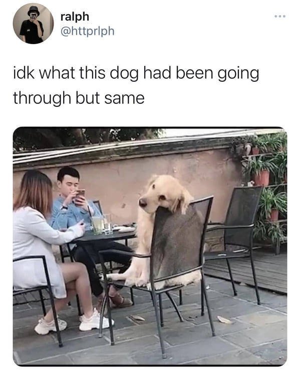 Daily Pictures. Part 2 (62 pics)