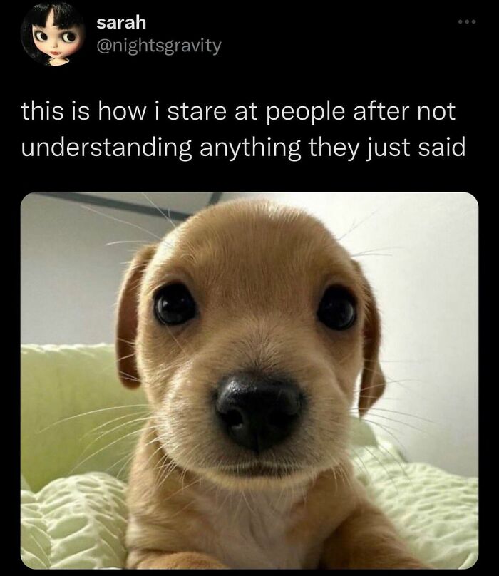 Daily Pictures. Part 2 (62 pics)