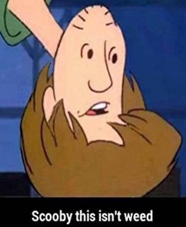 Daily Pictures. Part 2 (62 pics)