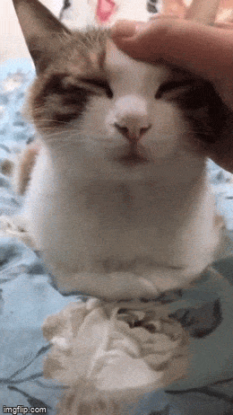 Acid GIFs, January 15 (25 gifs) Acid GIFs, January 15 (25 gifs)