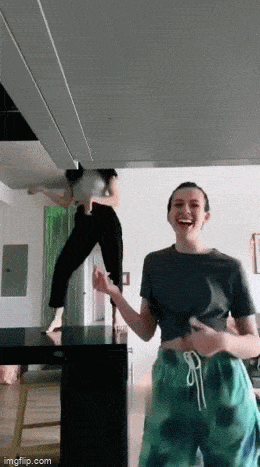 Acid GIFs, January 15 (25 gifs) Acid GIFs, January 15 (25 gifs)