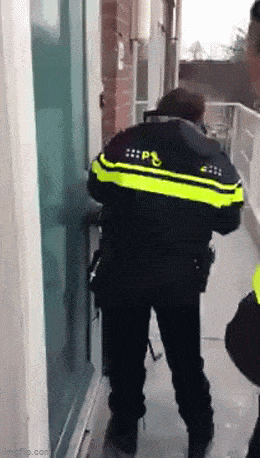 Acid GIFs, January 15 (25 gifs) Acid GIFs, January 15 (25 gifs)