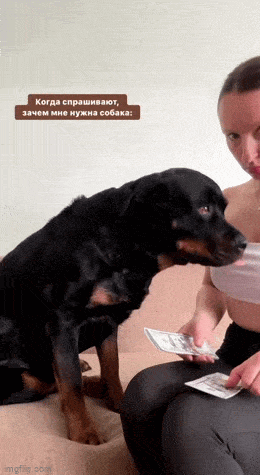 Acid GIFs, January 15 (25 gifs) Acid GIFs, January 15 (25 gifs)