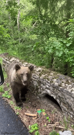 Acid GIFs, January 15 (25 gifs) Acid GIFs, January 15 (25 gifs)