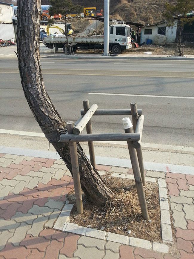 They Don't Care About The Rules (15 pics)