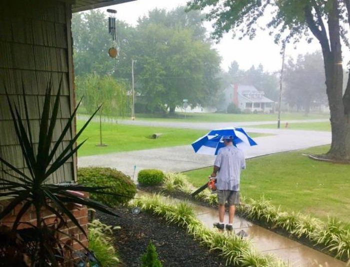 Daily Pictures. Part 1 (64 pics)