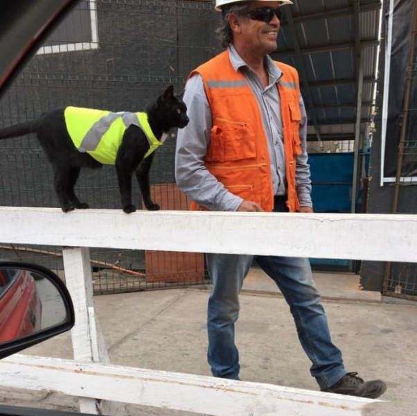 Daily Pictures. Part 1 (64 pics)