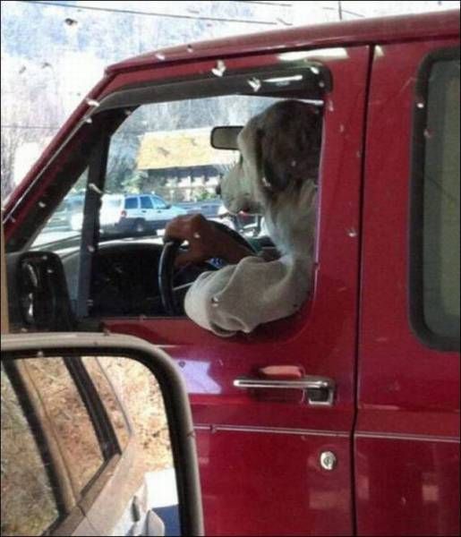 Daily Pictures. Part 1 (64 pics)