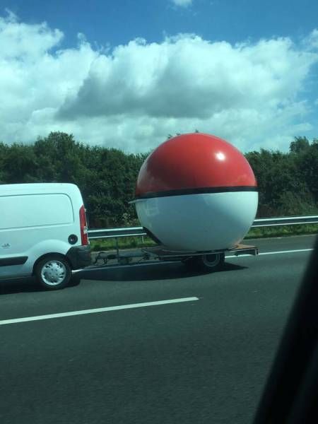 Daily Pictures. Part 1 (64 pics)