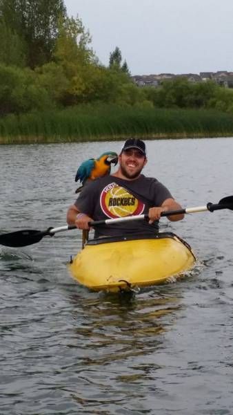 Daily Pictures. Part 1 (64 pics)