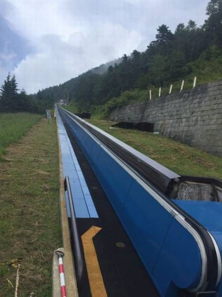 Daily Pictures. Part 1 (64 pics)