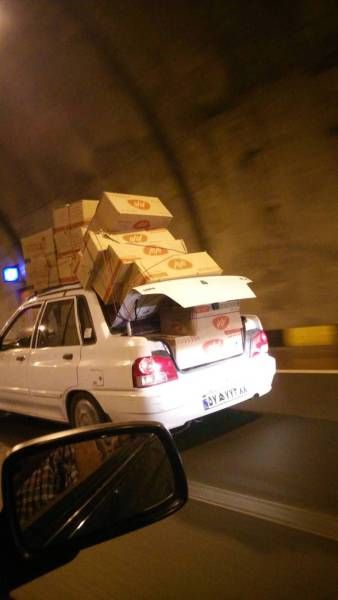 Daily Pictures. Part 1 (64 pics)