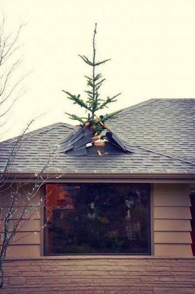 Daily Pictures. Part 1 (64 pics)