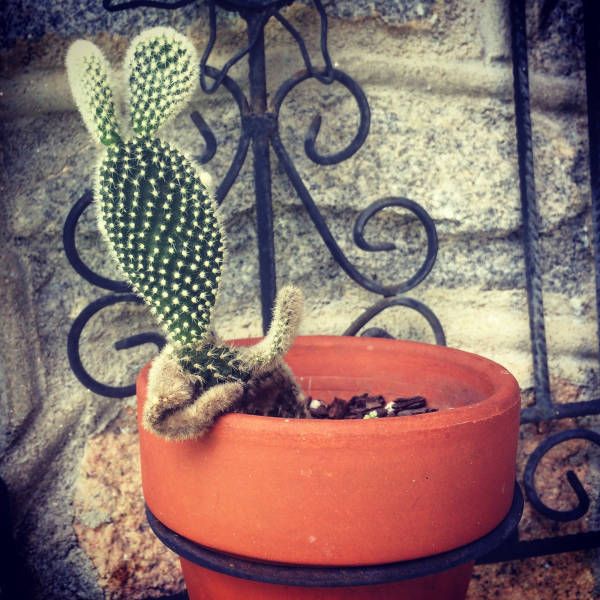 Daily Pictures. Part 1 (64 pics)