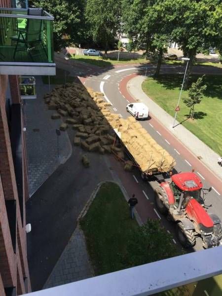 Daily Pictures. Part 1 (64 pics)