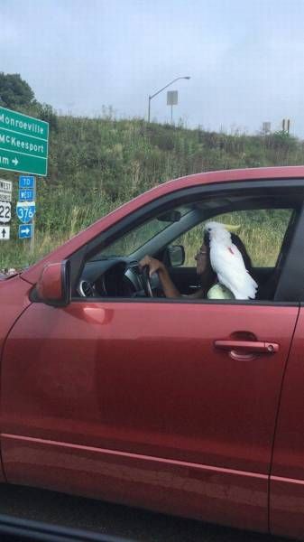 Daily Pictures. Part 1 (64 pics)