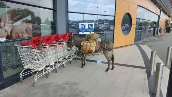 Daily Pictures. Part 1 (64 pics)