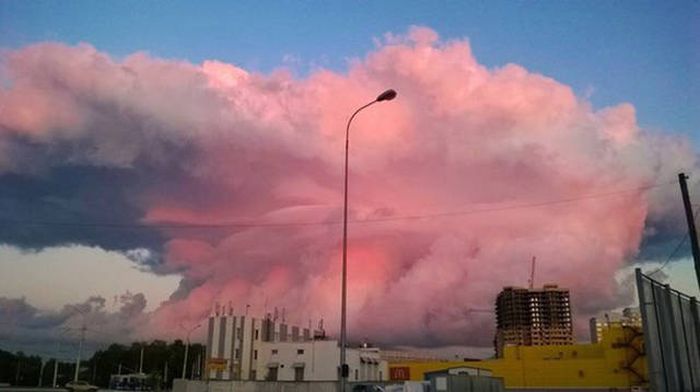 Daily Pictures. Part 1 (64 pics)