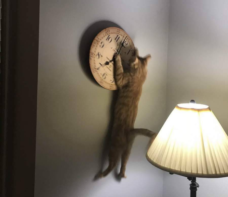 Daily Pictures. Part 1 (64 pics)