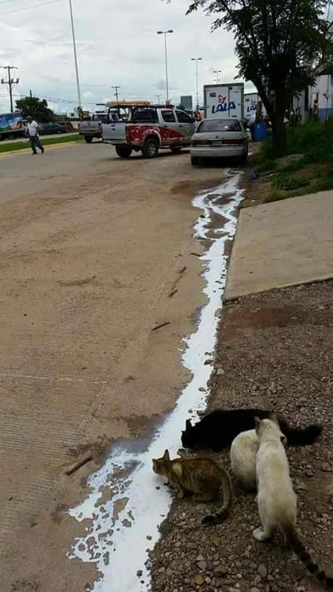 Daily Pictures. Part 2 (63 pics)