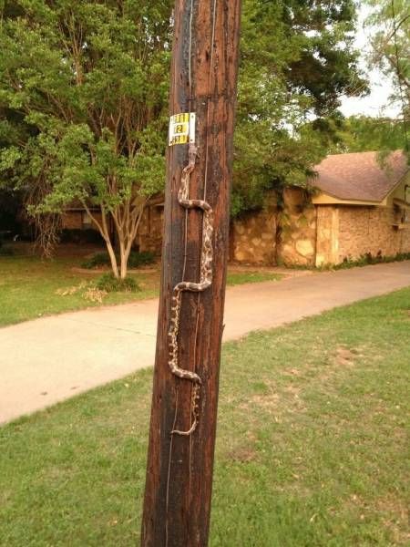 Daily Pictures. Part 2 (63 pics)