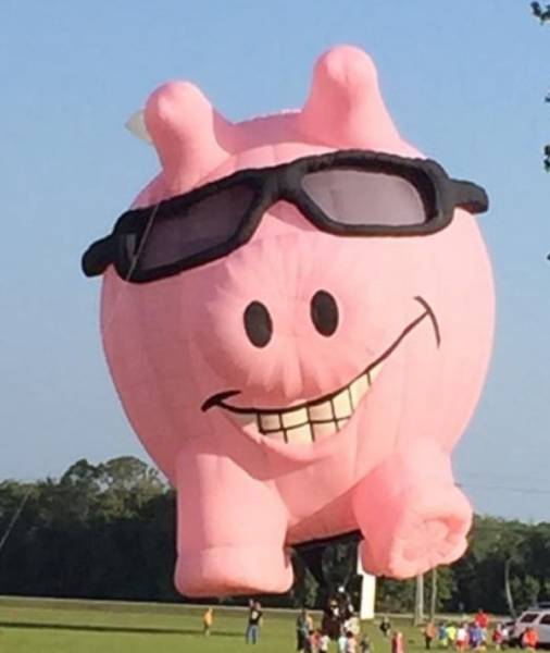 Daily Pictures. Part 1 (64 pics)