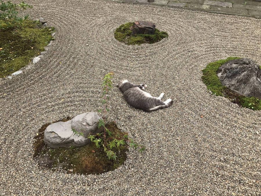 Daily Pictures. Part 2 (63 pics)