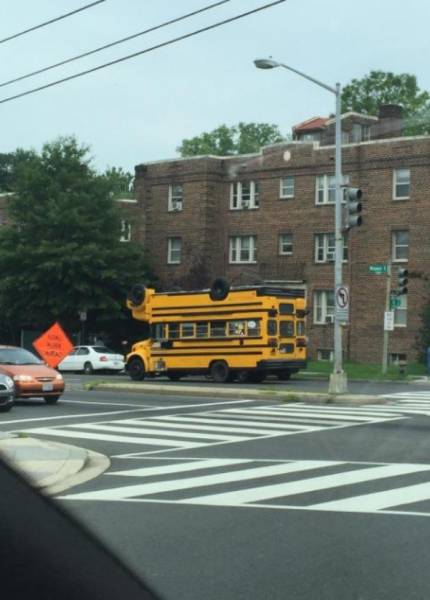 Daily Pictures. Part 1 (64 pics)