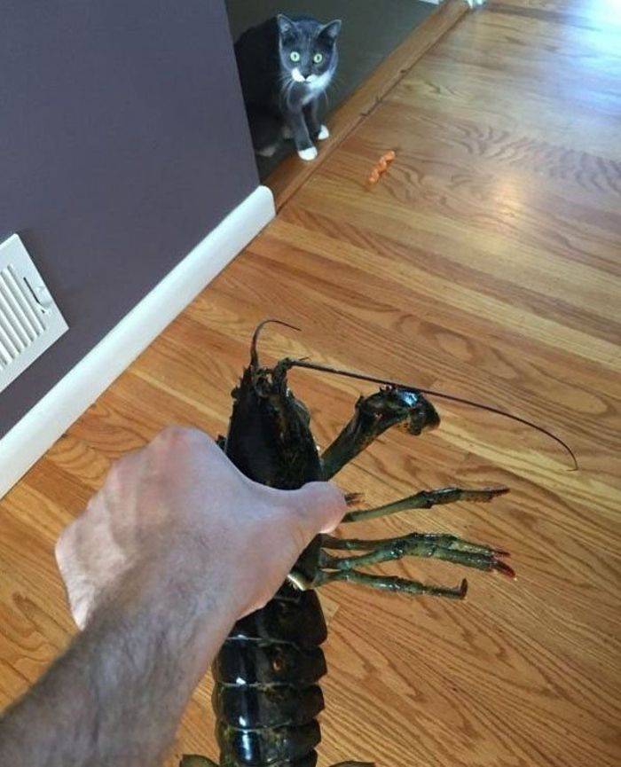 Daily Pictures. Part 1 (64 pics)