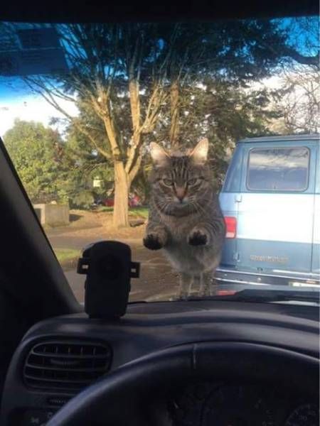 Daily Pictures. Part 2 (63 pics)