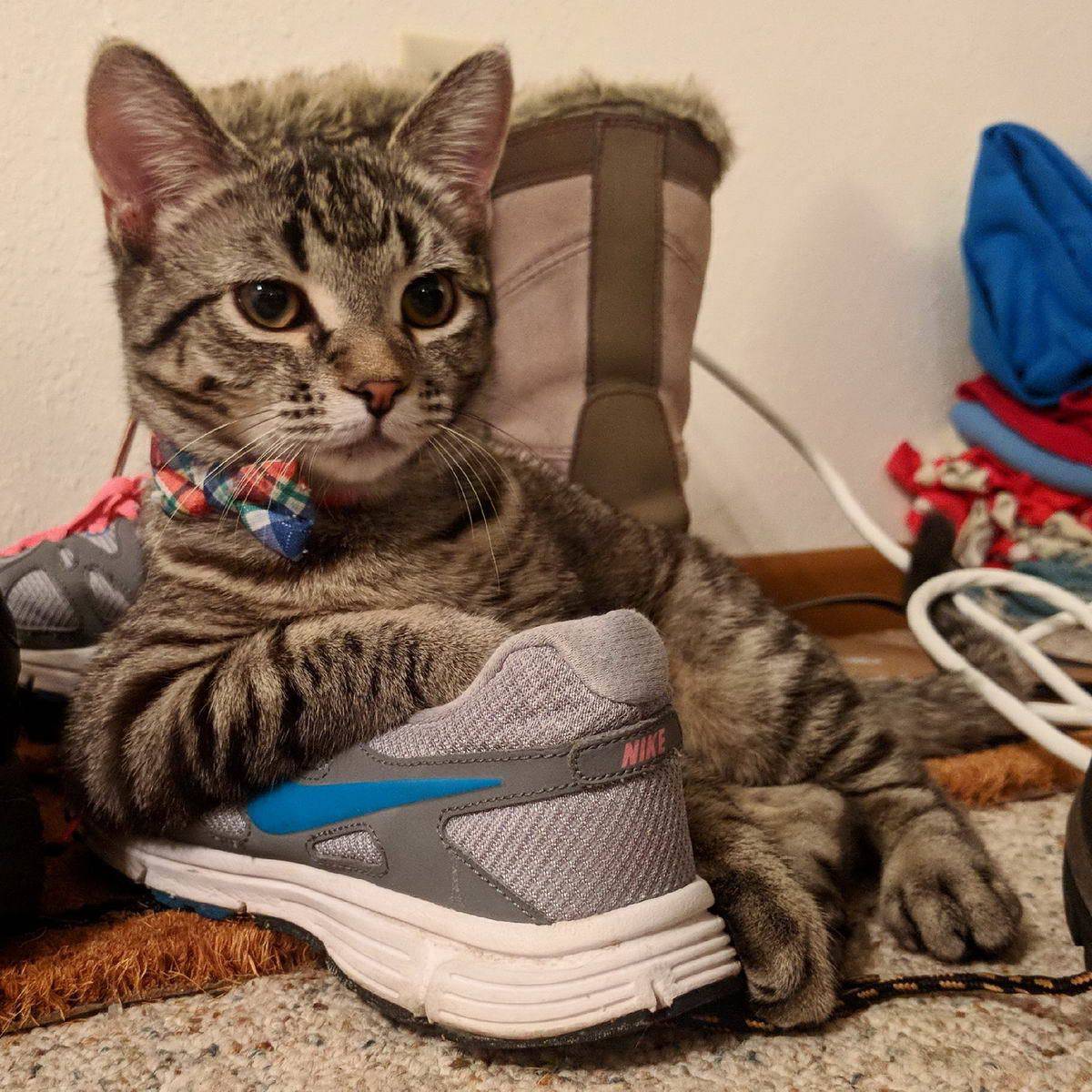 Daily Pictures. Part 1 (64 pics)