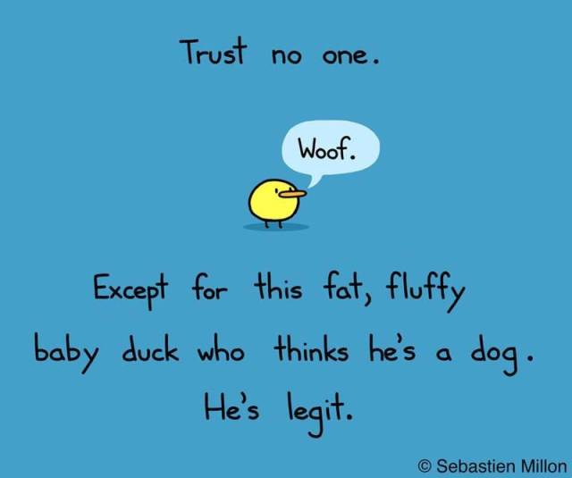 Daily Pictures. Part 2 (63 pics)