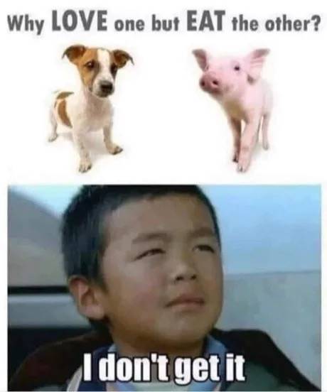 Daily Pictures. Part 2 (63 pics)