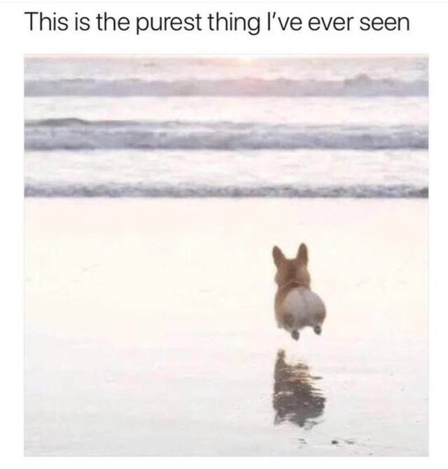 Daily Pictures. Part 2 (63 pics)