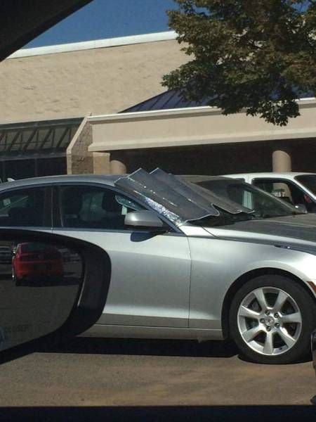 Daily Pictures. Part 2 (63 pics)