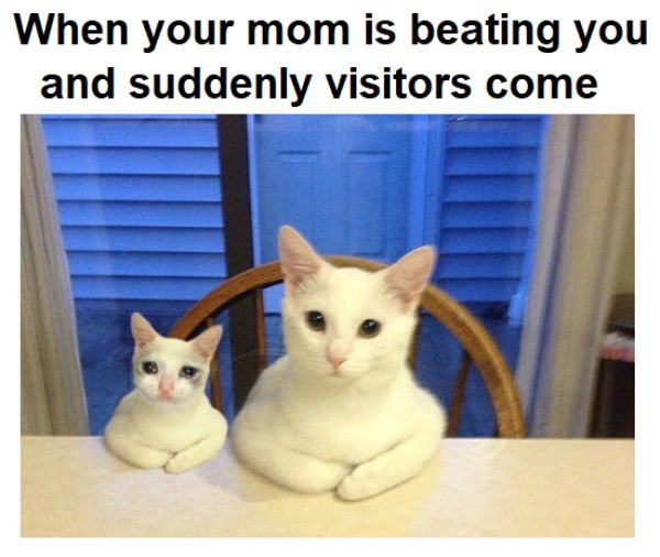 Daily Pictures. Part 2 (63 pics)