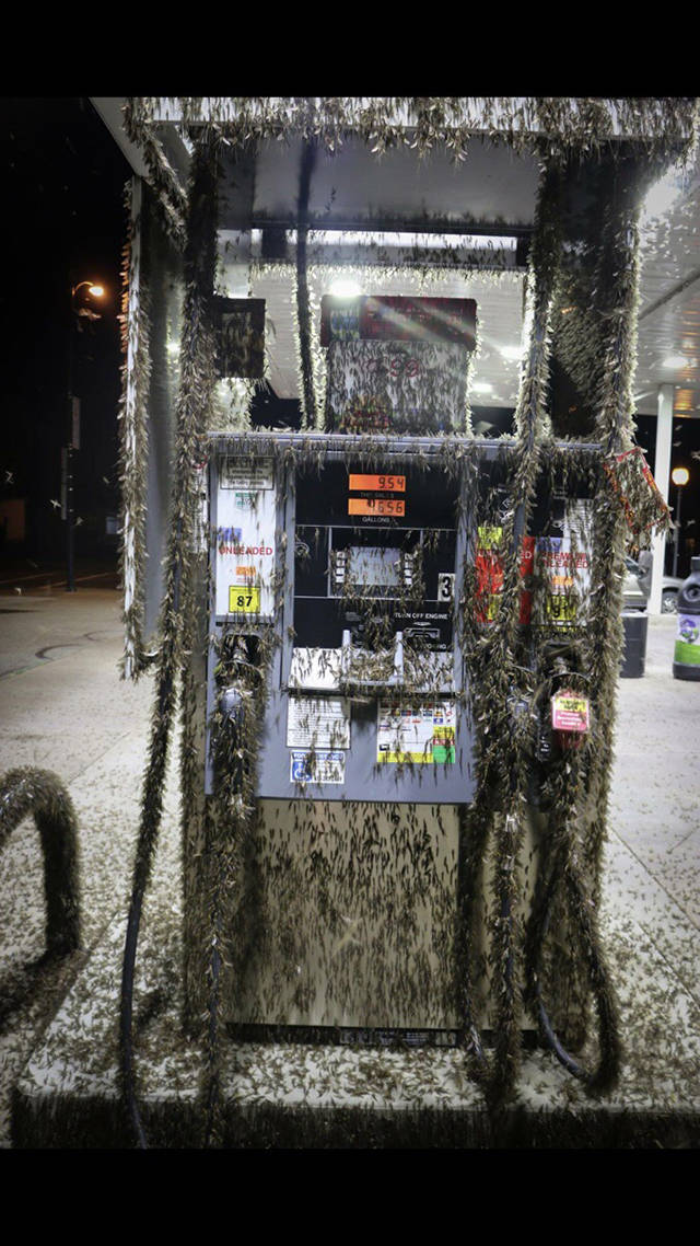 Daily Pictures. Part 2 (63 pics)