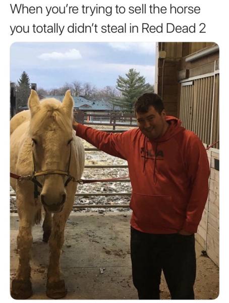 Daily Pictures. Part 2 (63 pics)