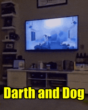 Acid GIFs, January 16 (25 gifs)