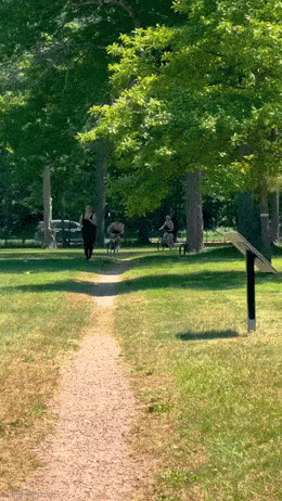 Acid GIFs, January 16 (25 gifs)