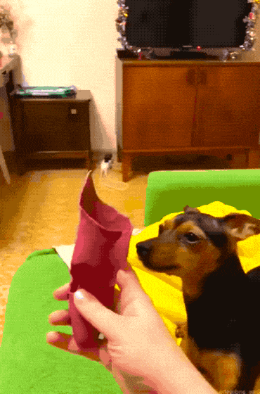 Acid GIFs, January 16 (25 gifs)