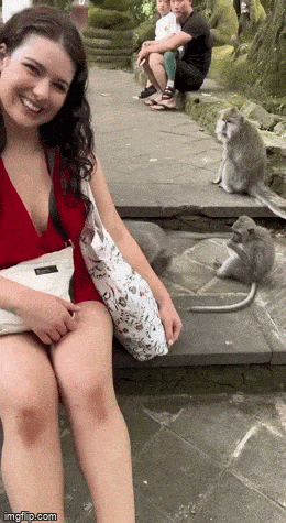 Acid GIFs, January 16 (25 gifs)