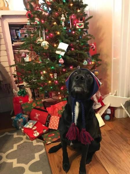 Daily Pictures. Part 1 (67 pics)