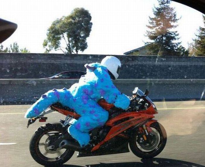 Daily Pictures. Part 1 (67 pics)