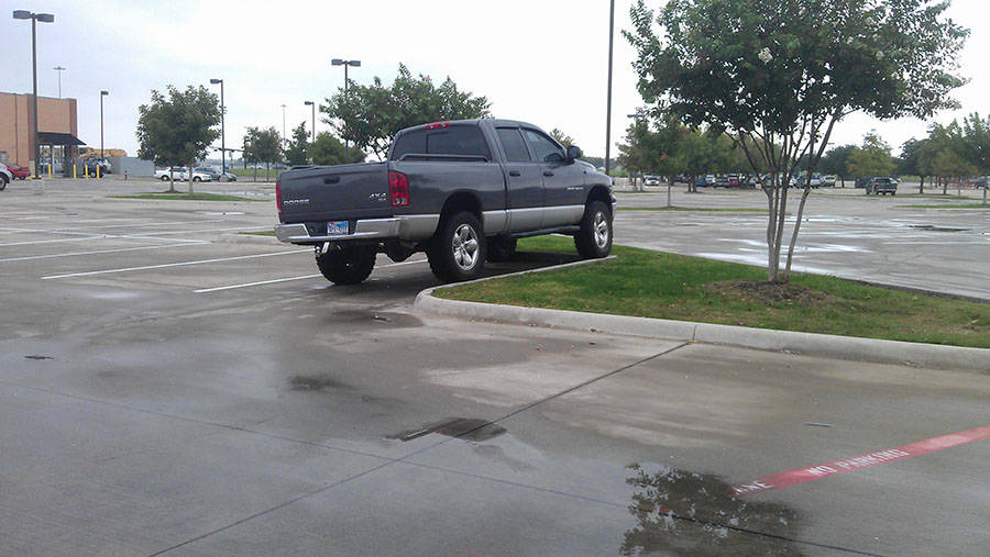 Daily Pictures. Part 1 (67 pics)