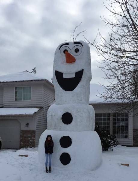 Daily Pictures. Part 1 (67 pics)