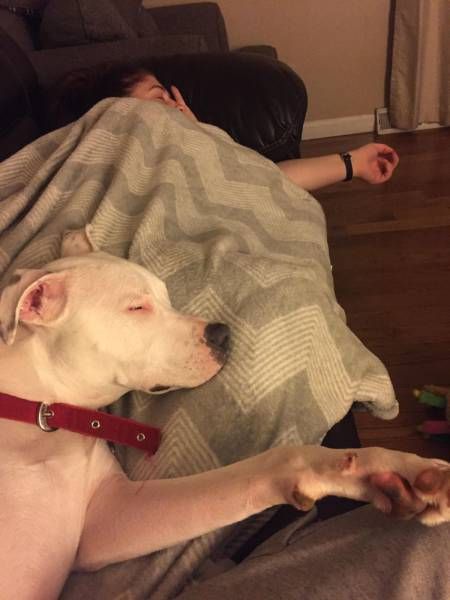 Daily Pictures. Part 1 (67 pics)