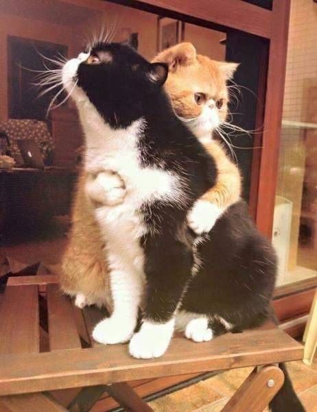 Daily Pictures. Part 1 (67 pics)